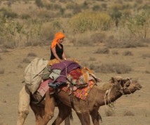 Urine - annonces de rencontre de l'utilisateur ella